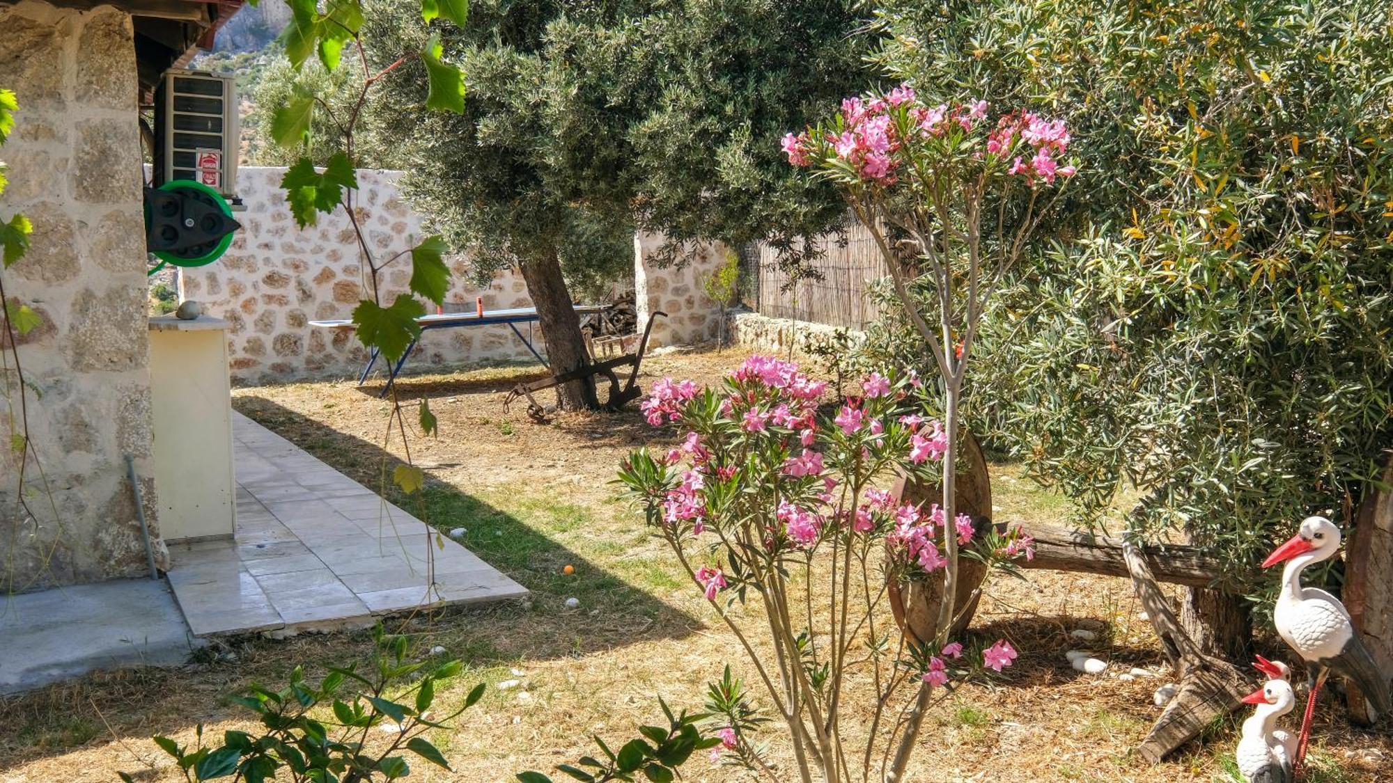 Likya House - Deniz Ve Doga Manzarali, Havuzlu Villa Patara Exterior photo